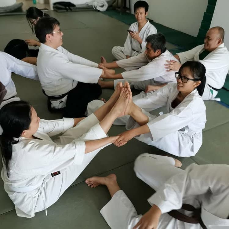 Seishinkan students practising together on the mat